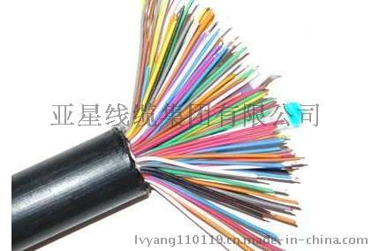亚星电线电缆电子计算机屏蔽电缆 DJYVP 300/500V